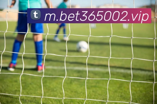 bet365中国官网服务体系